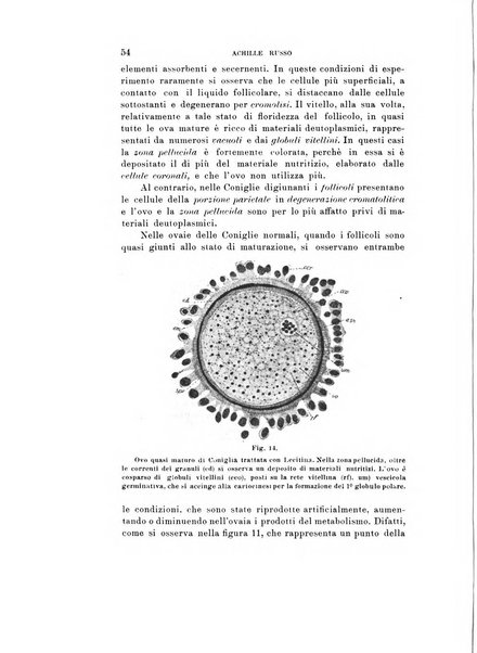 Natura rivista mensile di scienze naturali