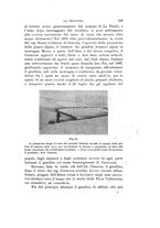 giornale/VEA0038128/1909-1910/unico/00000149