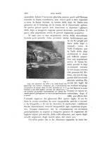 giornale/VEA0038128/1909-1910/unico/00000182