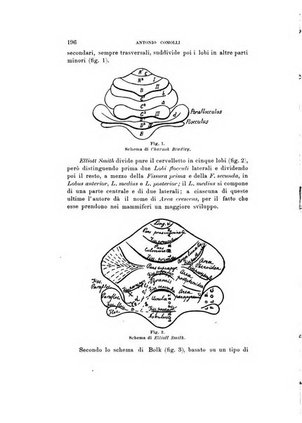 Natura rivista mensile di scienze naturali