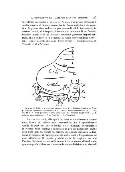 Natura rivista mensile di scienze naturali