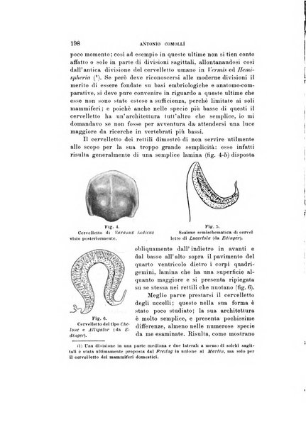 Natura rivista mensile di scienze naturali