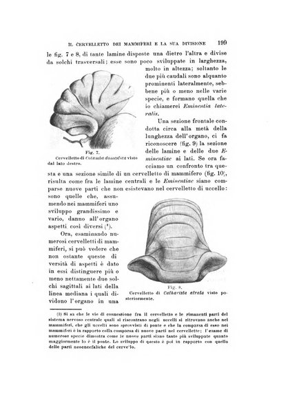 Natura rivista mensile di scienze naturali