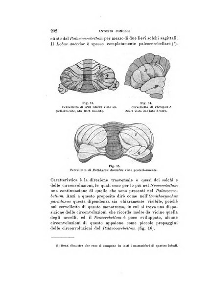 Natura rivista mensile di scienze naturali