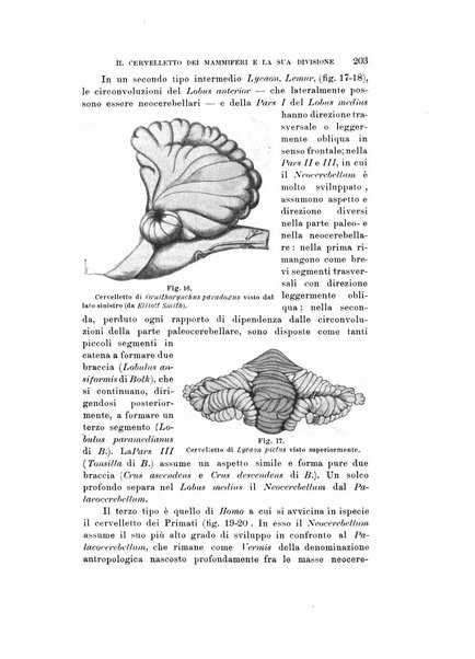 Natura rivista mensile di scienze naturali