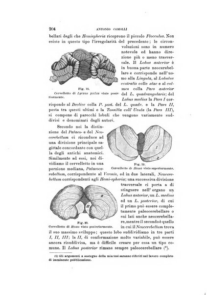 Natura rivista mensile di scienze naturali