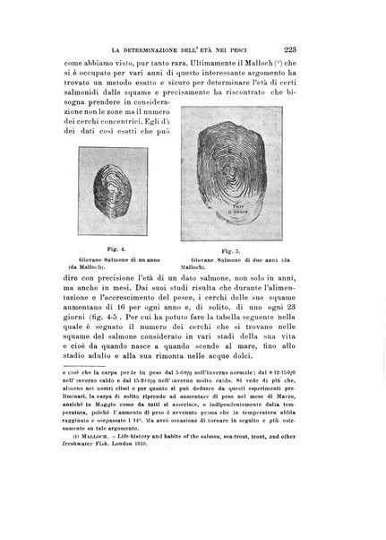 Natura rivista mensile di scienze naturali