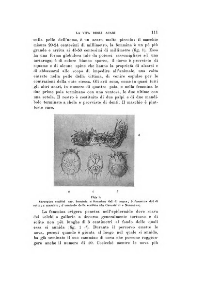 Natura rivista mensile di scienze naturali