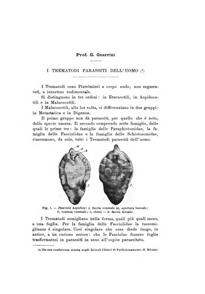 Natura rivista mensile di scienze naturali