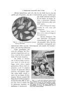 giornale/VEA0038128/1912/unico/00000021