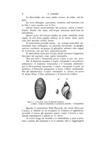 giornale/VEA0038128/1912/unico/00000022