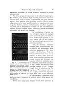 giornale/VEA0038128/1912/unico/00000033