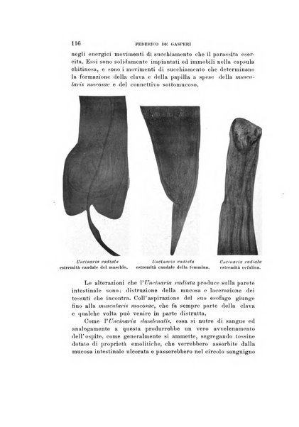 Natura rivista mensile di scienze naturali