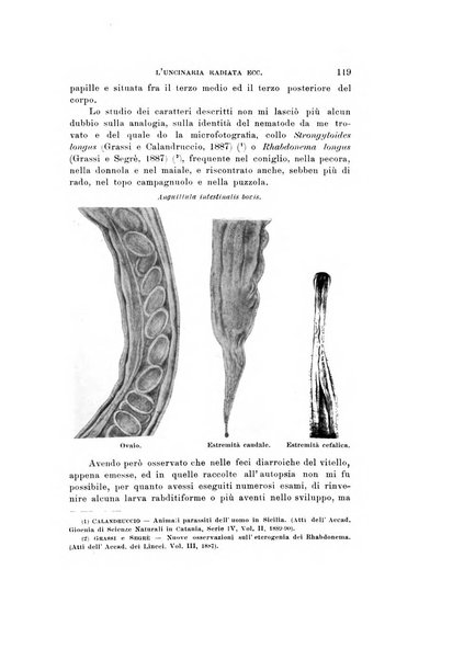 Natura rivista mensile di scienze naturali