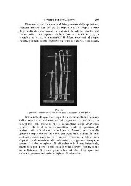 Natura rivista mensile di scienze naturali