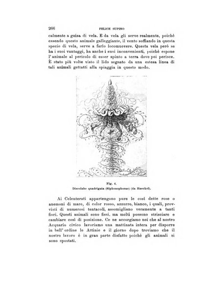 Natura rivista mensile di scienze naturali