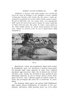 giornale/VEA0038128/1912/unico/00000363
