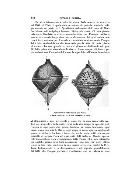 Natura rivista mensile di scienze naturali