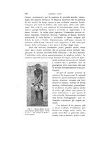 giornale/VEA0038128/1913/unico/00000268