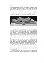 giornale/VEA0038128/1913/unico/00000270