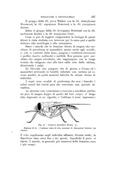 Natura rivista mensile di scienze naturali