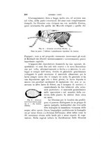 giornale/VEA0038128/1913/unico/00000276