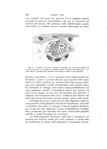 Natura rivista mensile di scienze naturali