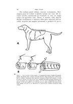 giornale/VEA0038128/1914/unico/00000116