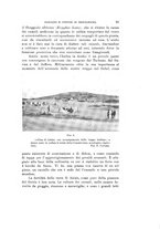 giornale/VEA0038128/1915/unico/00000041