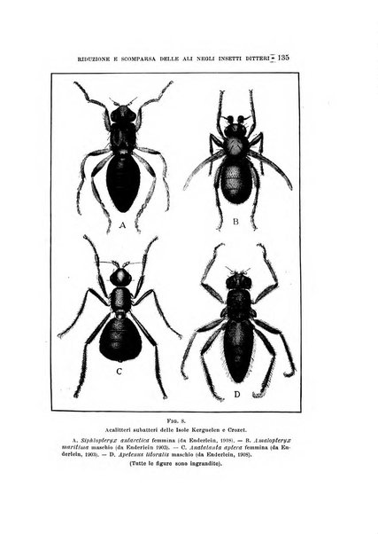 Natura rivista mensile di scienze naturali