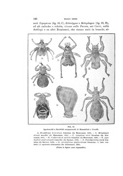 Natura rivista mensile di scienze naturali