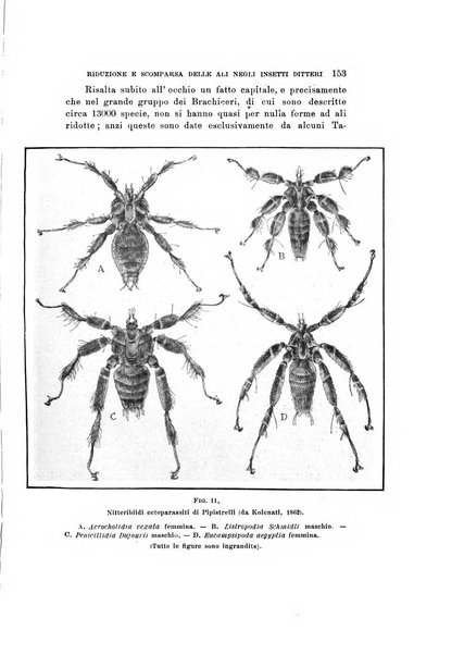 Natura rivista mensile di scienze naturali