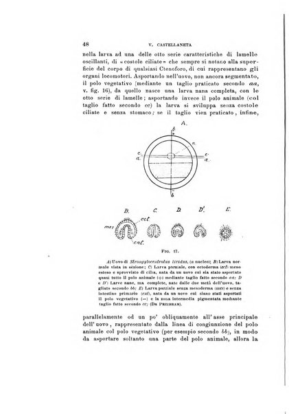 Natura rivista mensile di scienze naturali