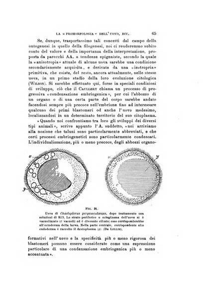 Natura rivista mensile di scienze naturali