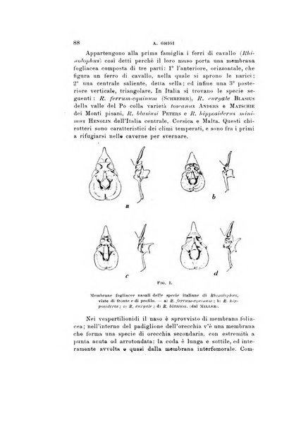 Natura rivista mensile di scienze naturali