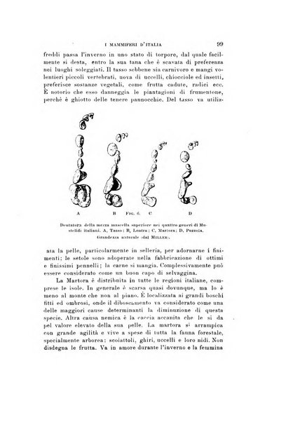 Natura rivista mensile di scienze naturali