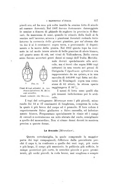 Natura rivista mensile di scienze naturali