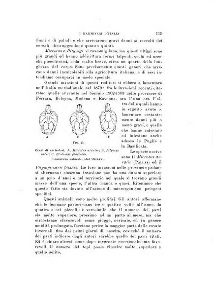 Natura rivista mensile di scienze naturali