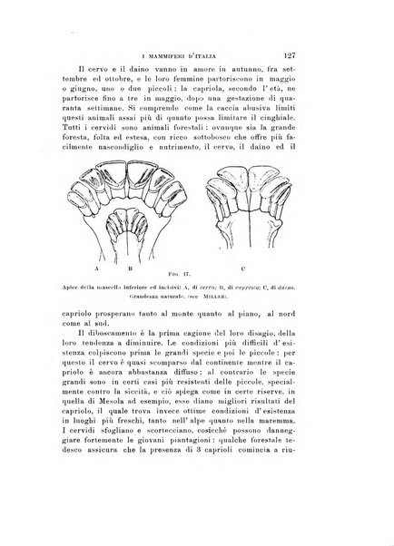 Natura rivista mensile di scienze naturali