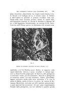 giornale/VEA0038128/1917/unico/00000205