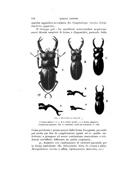 Natura rivista mensile di scienze naturali