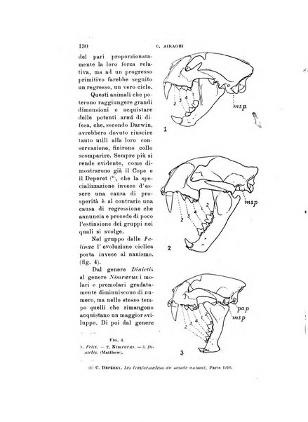 Natura rivista mensile di scienze naturali