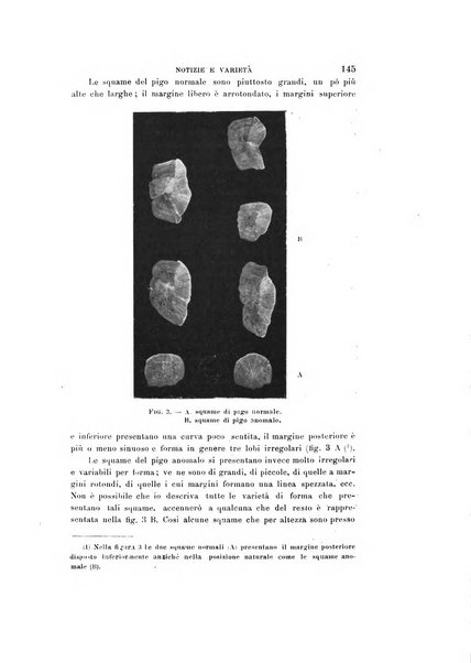 Natura rivista mensile di scienze naturali