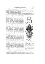 giornale/VEA0038128/1919/unico/00000033