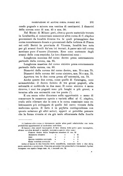 Natura rivista mensile di scienze naturali