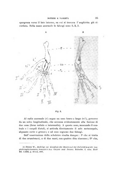 Natura rivista mensile di scienze naturali