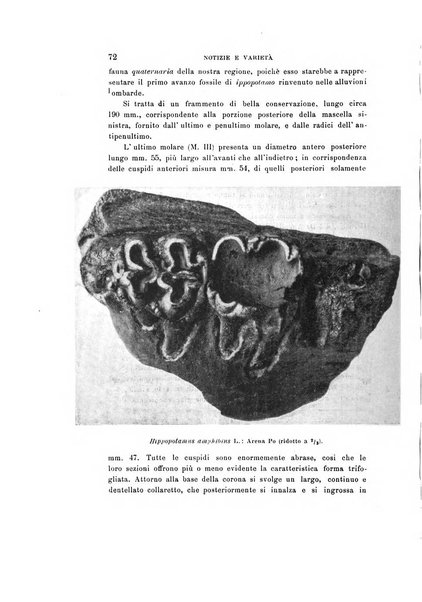 Natura rivista mensile di scienze naturali