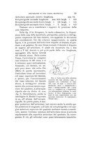 giornale/VEA0038128/1922/unico/00000035