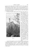 giornale/VEA0038128/1923/unico/00000077