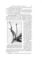giornale/VEA0038128/1923/unico/00000085